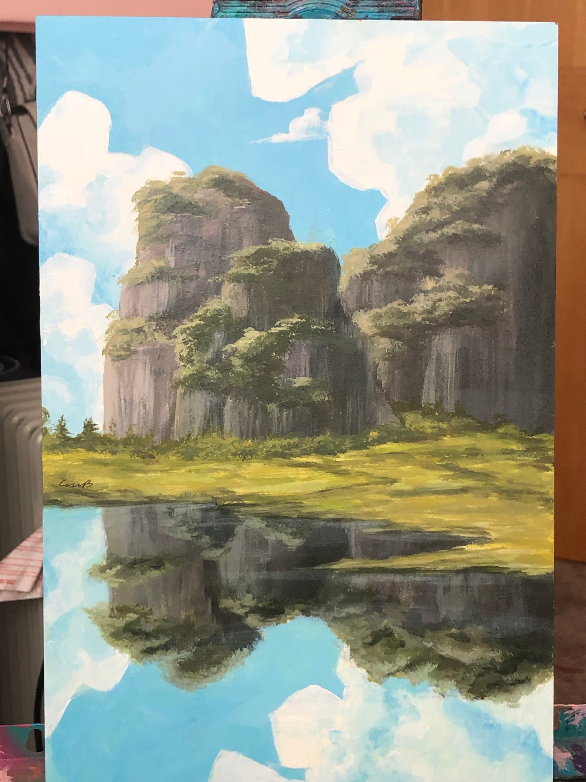 PAISAJE - PINTURA