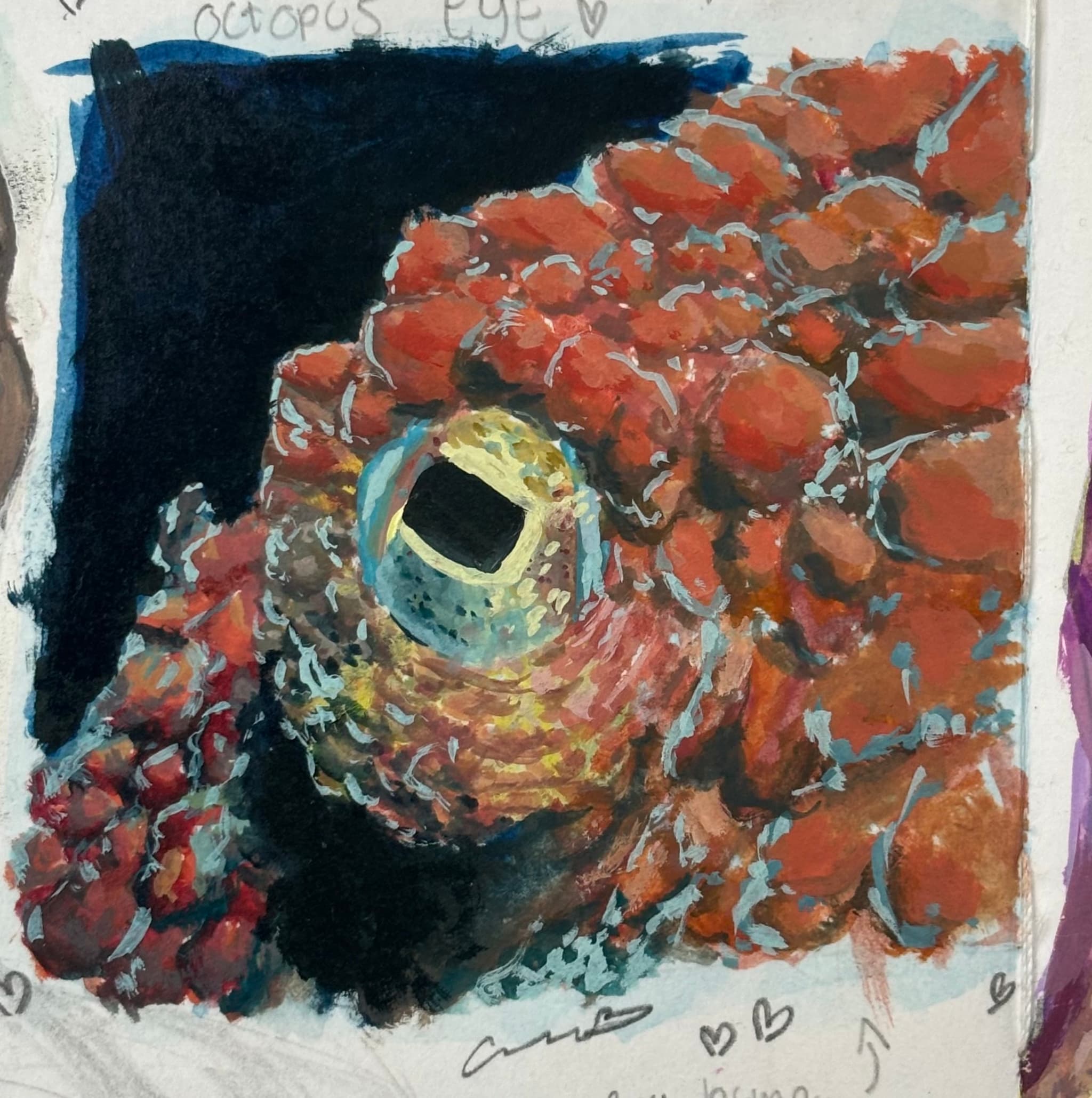 OJO DE PULPO - GOUACHE SOBRE HOT PRESS PAPER - 6.6 X 6.5CM
